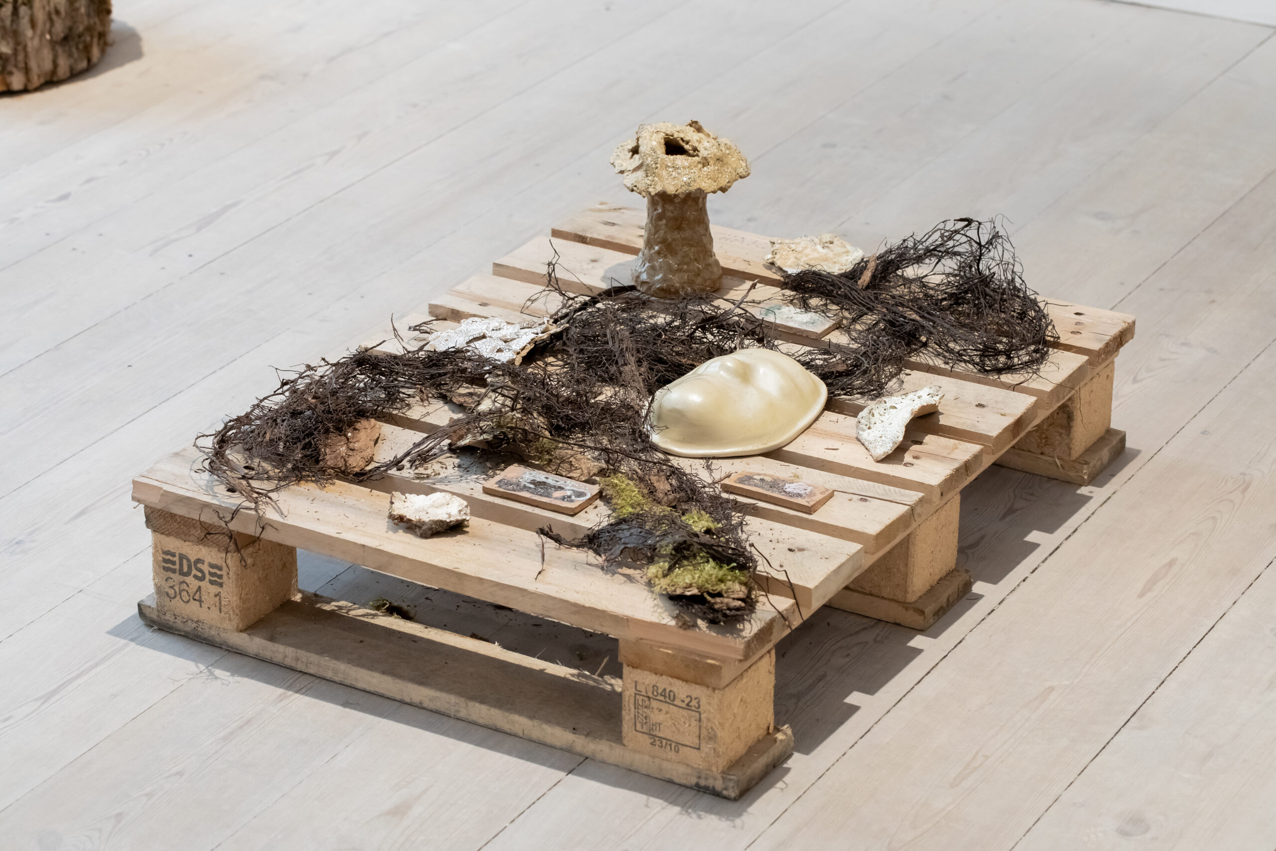 _K5A4937_Foto Kirstine Autzen